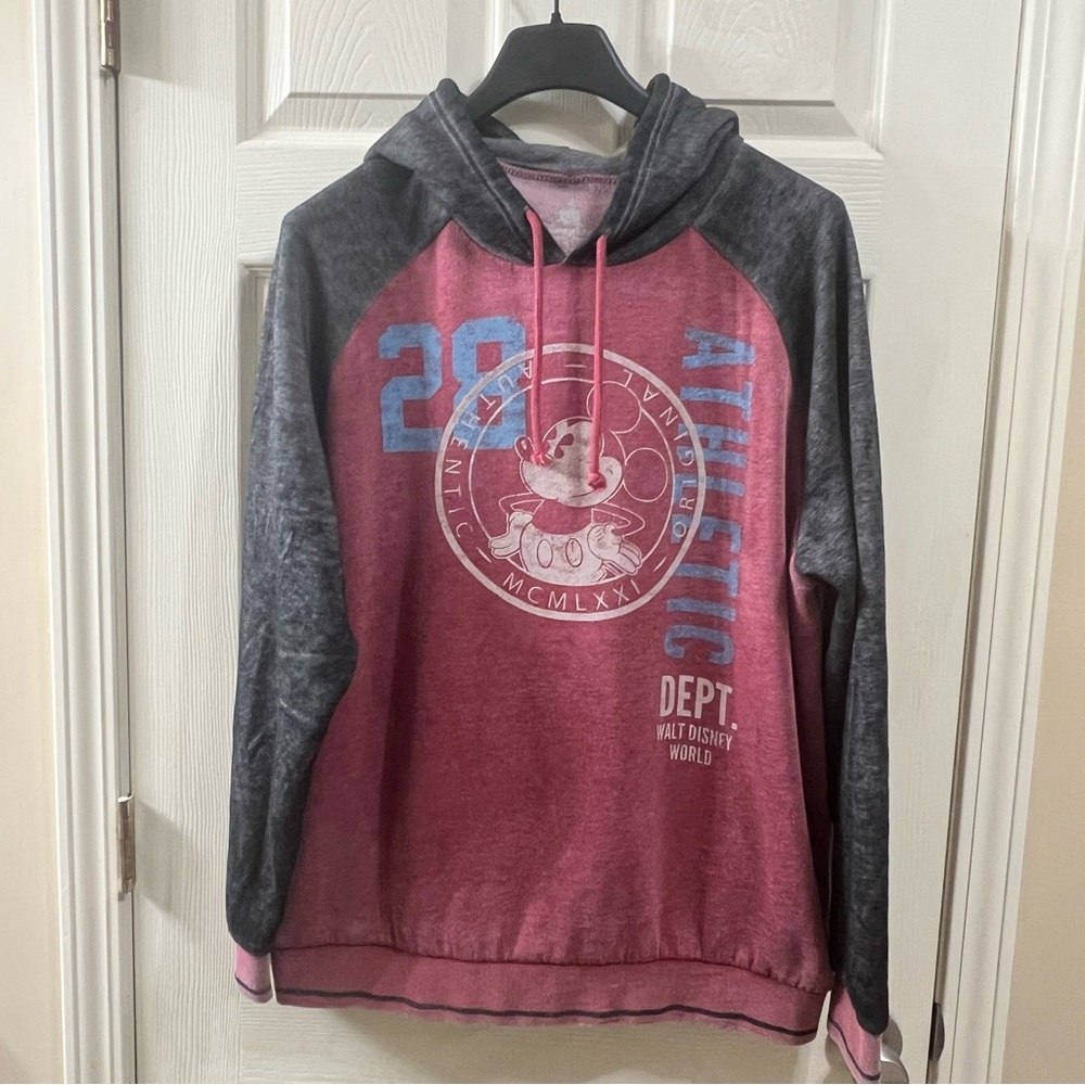 Warner Bros Disney Hoodie Size Large GUC